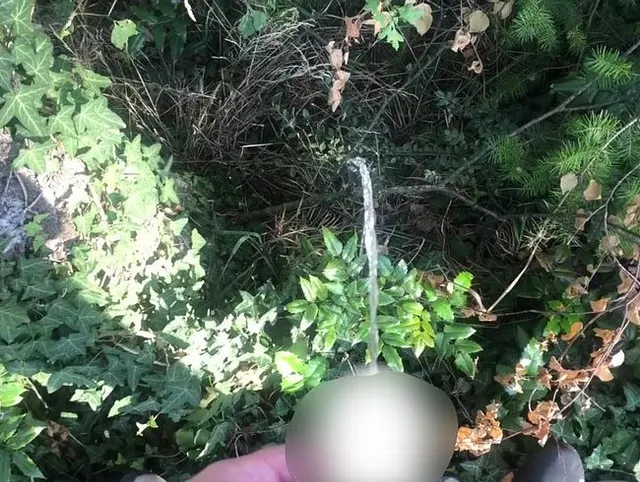 POV Natursekt
