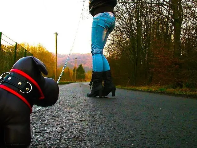 Hund bleibt stehen, ich lass laufen!!!