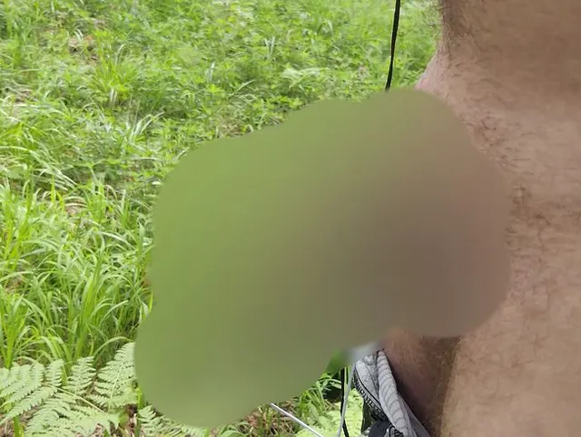 Verrückter Harnröhrenplug hat meinen Schwanz im Wald gefickt