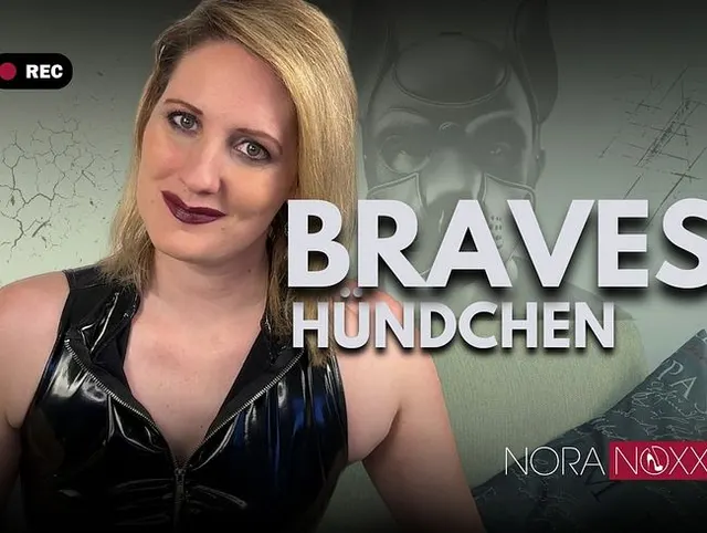 Hündchenerziehung: Hündchen, mach Sitz!