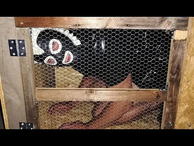 Dienstmädchen im Hasenstall gesperrt