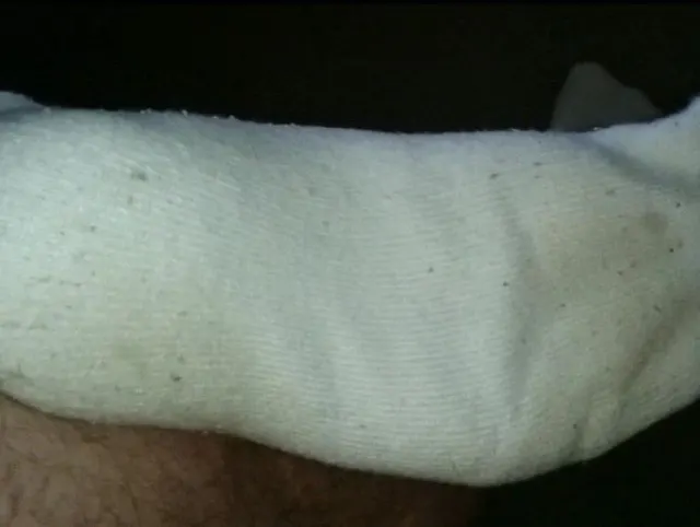 Weiße Tennissocken sind Kult