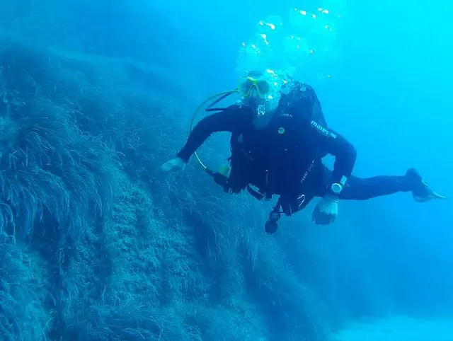 #Dive Nr .: 855 (2)