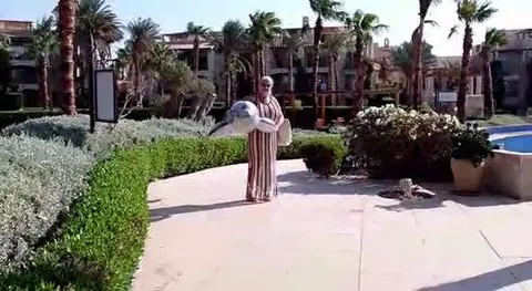 Spass am Pool