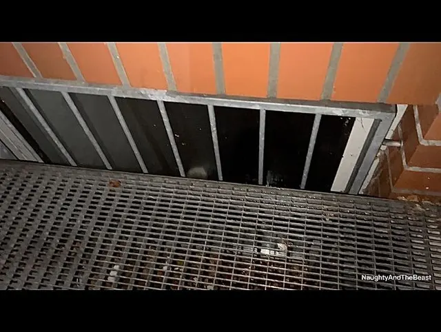 Skandal, vollgepisstes Kellerfenster! Publicpiss(ohne ton)