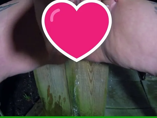 Pissen, Pupsen, Fingern in der Nacht