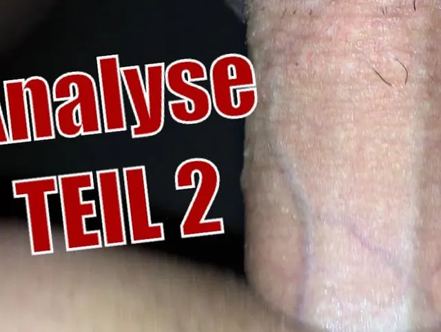 Analyse TEIL 2