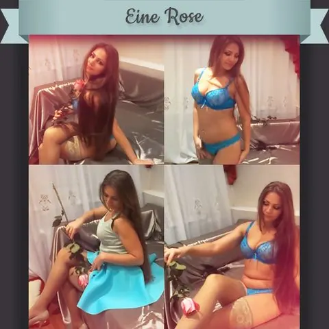 Eine Rose.. :)