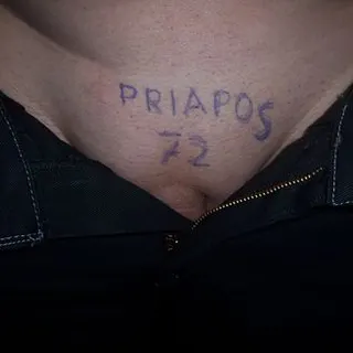 Profilbild von Priapos72