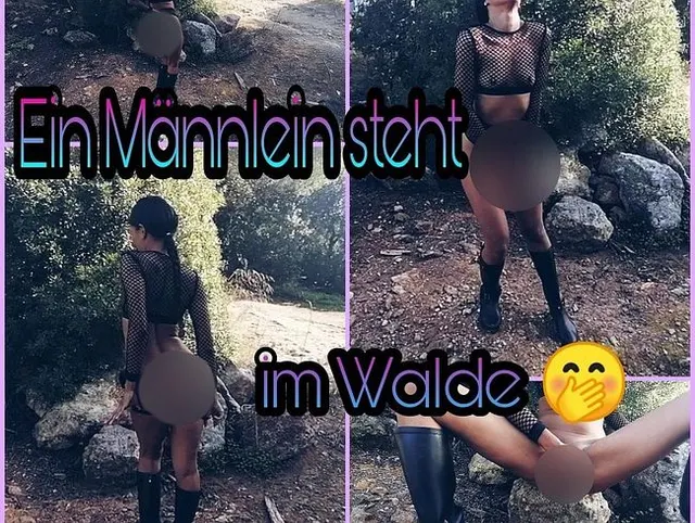 Ein Männlein steht im Walde ;)