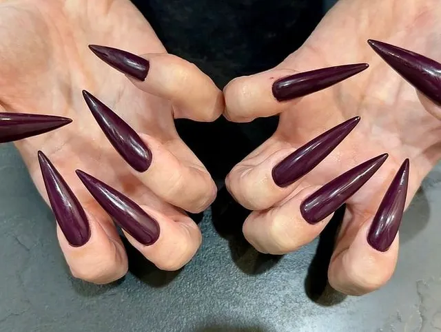 Neue Farbe dunkelviolett lange Nägel, Krallen