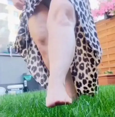 Der Tanz prächtiger Füße auf dem Gras.