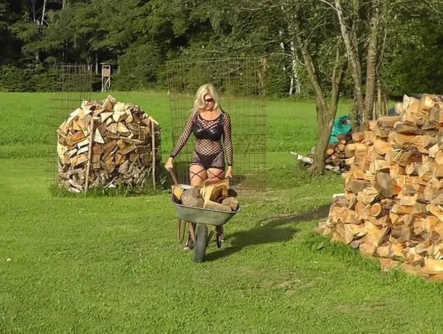 arbeitstier auf dem bauernhof  . . .