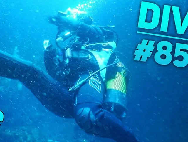 #Dive N°: 858
