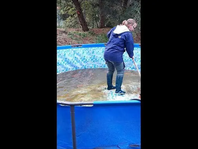 POOL REINIGEN 2019