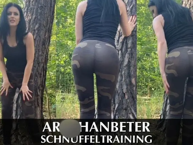 Arschanbeter Schnüffeltraining