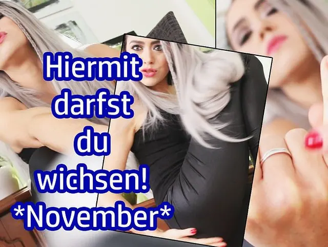 Hiermit darfst du wichsen  - Wichserlaubnis November