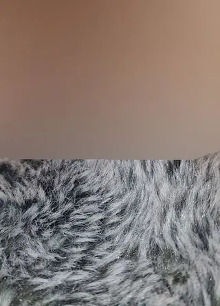 Schleimiges, dreckiges Smegmaloch