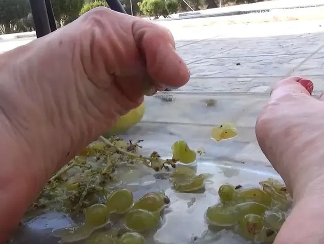 Fruit Foot Crush HD