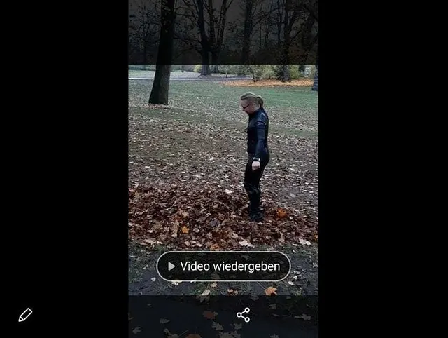 MIT CAT IM PARK