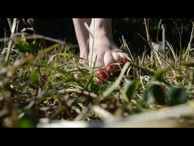 Ach einfach schön nackte Füsse im Gras