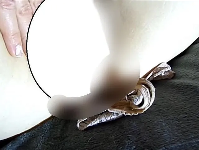 Zwei Creampie Höschen