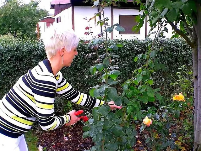 In die Weiße Hose gepisst bei der Gartenarbeit