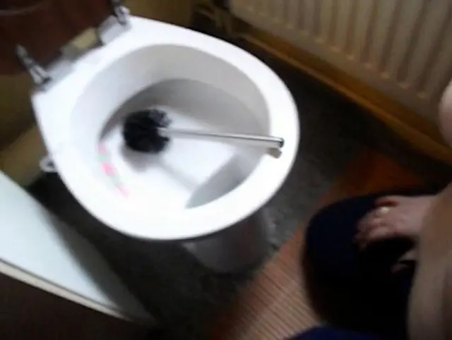 Klo - Putzen mit Störenfried !