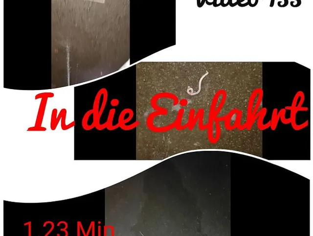 In die Einfahrt
